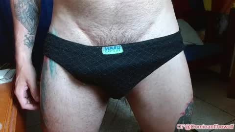 Snapshot of dominantthewolf chatting on 05.27.26 Logan - INDEPENDET MODEL online show from 05.27.26