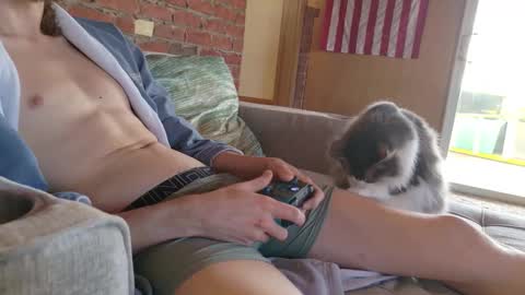 dommepleasemistress online show from 02.21.26