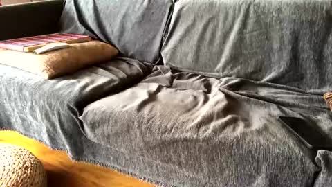 Alfredo online show from 02.09.25