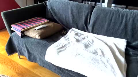 Alfredo online show from 02.17.25