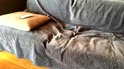 Alfredo online show from 02.20.25