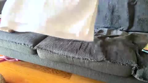 Alfredo online show from 09.19.25