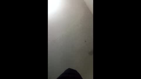 donkeykong34418301 online show from 03.03.26