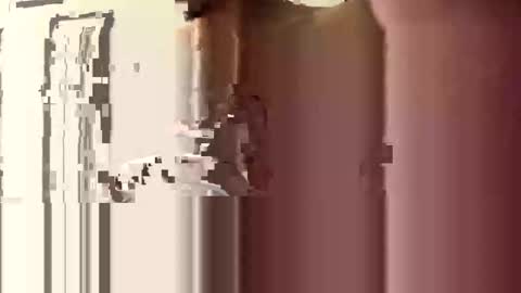 donnie206 online show from 01.06.26