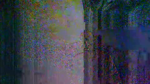 donosus online show from 03.12.26