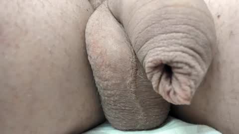 menu  below online show from 02.11.25