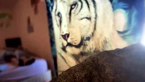 dove_love22 online show from 11.21.25