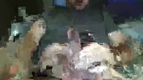 downtown831 online show from 02.26.26