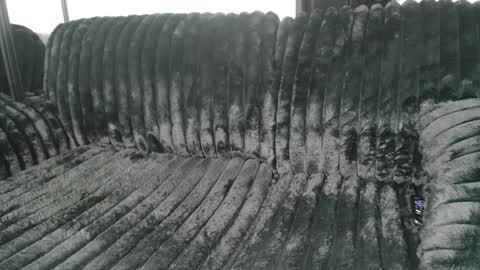 Draya Nicole online show from 03.09.25