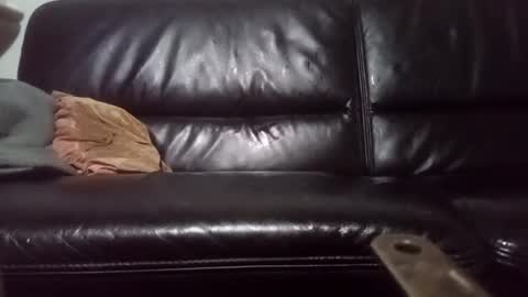 Snapshot of drbretholding chatting on 02.20.25 Carsten Tenberg online show from 02.20.25