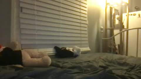 Snapshot of dream1girl_ chatting on 01.12.25 ur dream girl online show from 01.12.25