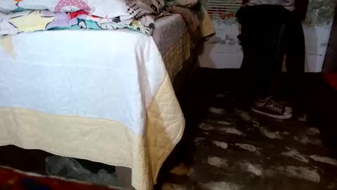 dreamreal online show from 11.22.25