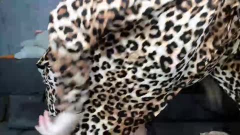 dreamesoul online show from 11.07.25