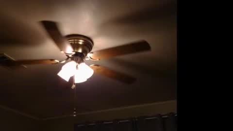 WetFilipinaPussy online show from 11.09.25