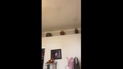 Drippy kitty  online show from 03.15.26