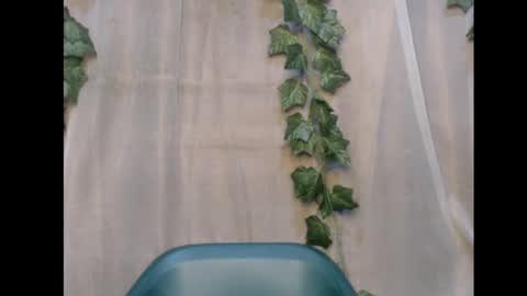 linda online show from 11.12.25