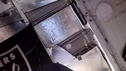 dsmock online show from 02.15.26