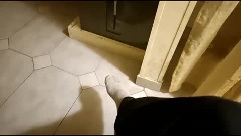 dthedog12 online show from 03.01.25