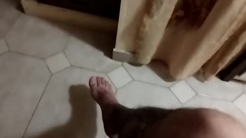 dthedog12 online show from 09.23.25