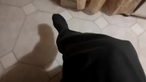 dthedog12 online show from 10.17.25