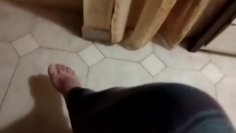 dthedog12 online show from 11.03.25