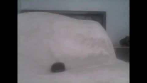 dudek0 online show from 11.01.25