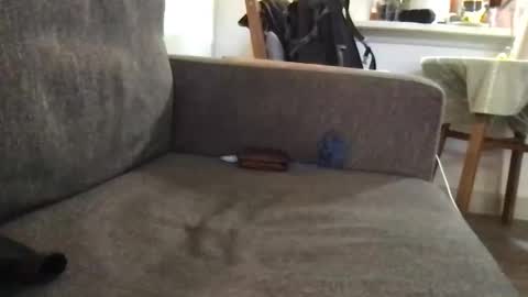 dulcemelo online show from 03.17.26