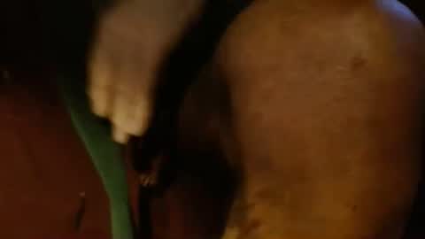 dunany101 online show from 02.26.25