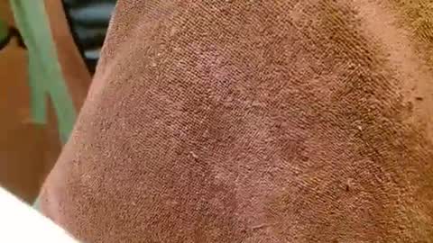 dunany101 online show from 03.07.25