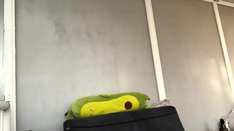 duracelshock online show from 04.17.26