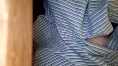 dVe1oPe online show from 01.15.26