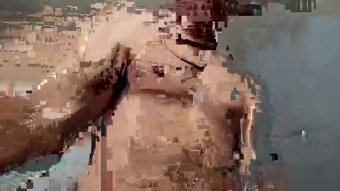 Snapshot of dvsshoes12 chatting on 10.12.25 dvsshoes12 online show from 10.12.25