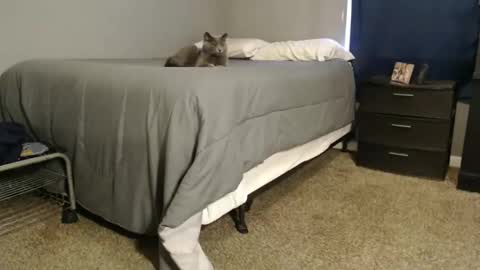 dwhitey4u online show from 12.31.24