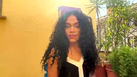 Dynasty online show from 03.24.26