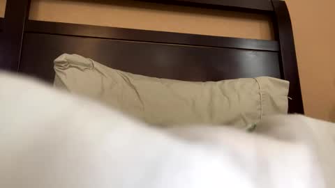 Snapshot of earl3232 chatting on 02.14.26 earl3232 online show from 02.14.26