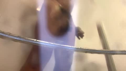 easternjerk online show from 10.20.25