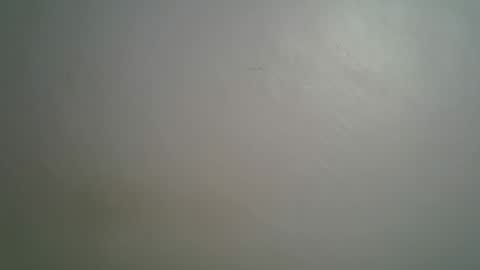 Queen online show from 03.15.26