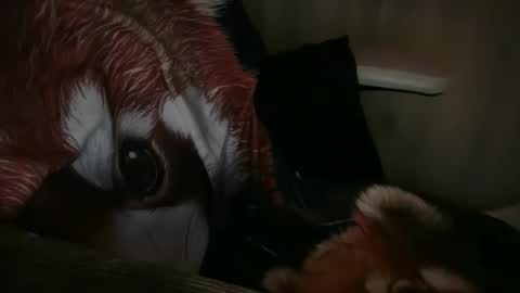 americnbarbie online show from 11.13.25