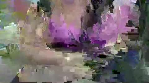 Snapshot of ebonybigtitqueen3 chatting on 11.04.25 ebonybigtitqueen3 online show from 11.04.25