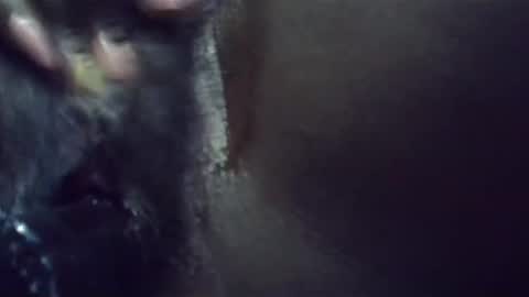 ebonykiki online show from 01.23.25