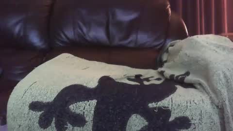 Ectopicstarfish online show from 12.13.24