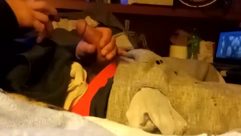 edmore1215 online show from 01.14.25