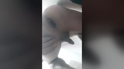 eduardo76391 online show from 06.28.26