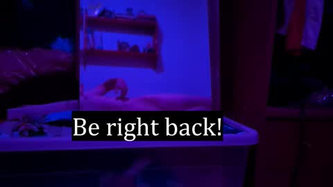 Snapshot of edwarh_01 chatting on 02.07.26 Alex online show from 02.07.26