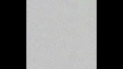 Ekz online show from 02.16.25