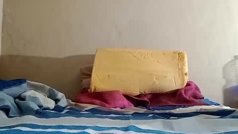 Sebastin online show from 10.31.25