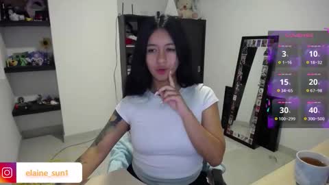 Snapshot of elaine_sun chatting on 01.17.26 Elaine eli online show from 01.17.26