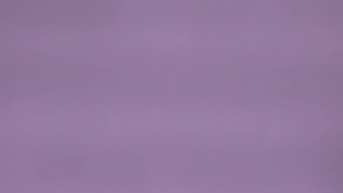 elenacortez online show from 12.23.25