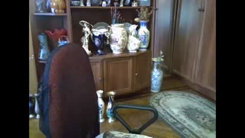 ElenaZed online show from 11.13.25