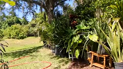 Snapshot of eliberator chatting on 05.16.26 eliberator online show from 05.16.26